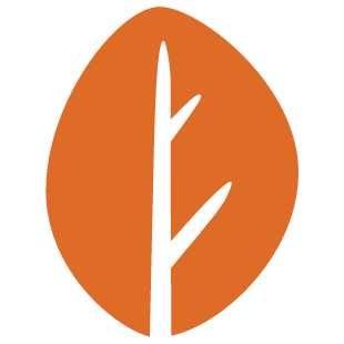 connectplay.space favicon